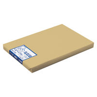 日本ノート 画用紙　特厚口八ツ切　１００枚 KE1708 1セット（3包）