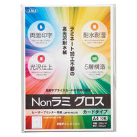 アジア原紙 Ｎｏｎラミ　グロス　カードタイプ　１０枚 LBPW-NC(10) 3冊（直送品）