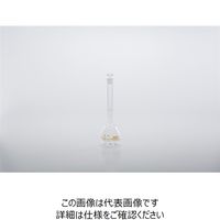 AGCテクノグラス メスフラスコ(IWAKI)250mL S75-1024-06 1セット(2個)（直送品）