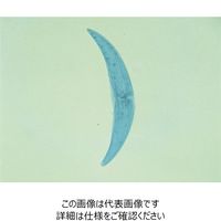ナリカ ミカヅキモプレパラート（10枚組） L55-8116 1セット（20枚：10枚×2セット）（直送品）