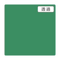 スリーエム ジャパン ３Ｍ　スコッチカル　ＸＬシリーズ　ＴＰ３７０９ＸＬ　ファンタジーグリーン　１０００ｍｍｘ２ｍ 055324 1本（直送品）