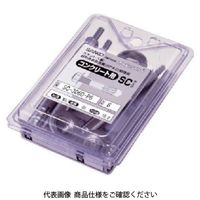 サンコーテクノ サンコー テクノ サンディールパックSCタイプ ステンレス製インチねじ(6本入) SC-3060-P6 1パック(6本)（直送品）