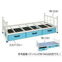 高田ベッド製作所 Aー1ベッド(収納箱付き) 幅99×長さ206×高さ30(全高70)cm 白 TB-1235 1個 62-4107-01（直送品）