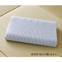 ハヤシ・ニット 紀州備長炭繊維 枕カバー フリーサイズ 6104