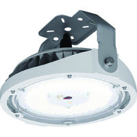 アイリスオーヤマ IRIS 高天井用LED照明 RZ180シリーズ 直付タイプ 15000lm LDRCL85N-110BS 1台(1個)（直送品）