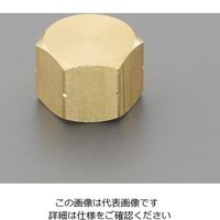 エスコ Rc3/8” 六角キャップ EA141AD-23 1セット(10個)（直送品）