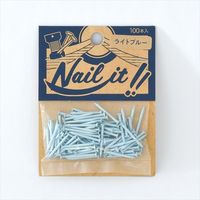 NAILIT釘#17×19 100本袋入りライトブルー NF10020 1セット 若井産業（直送品）