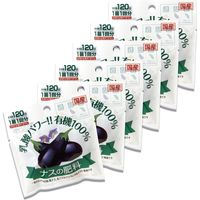 渡辺泰 乳酸発酵 ナスの肥料 2個入り（50g） WTLP-200276 1セット（6袋入）（直送品）