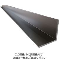 アルインコ アルミ等辺アングル 12x12x1.0ブロンズ 2m HP200B 1本 849-5202（直送品）