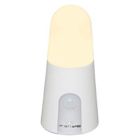 アイリスオーヤマ 乾電池式LEDセンサーライト スタンドタイプ 電球色 BSL40SL-WV2（522484）（直送品）