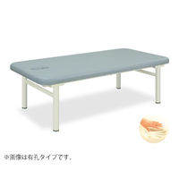 高田ベッド オーシャン 幅90×長さ200 TB-254