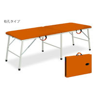 高田ベッド製作所 有孔トライ 幅45×長さ190×高さ50cm オレンジ TB-252U 1個 63-0165-46（直送品）