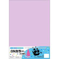 ONカラー八つ切 380×265mm 100枚 ふじ ON8-S14 1冊 エヒメ紙工（直送品）