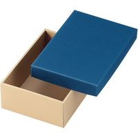 ヤマニパッケージ カラーBOX95中 16-57 1ケース(100枚:各50枚胴巻包装)（直送品）