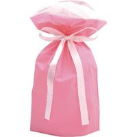 ササガワ 巾着袋 ピンク 小 １Ｐ 50-4362 1セット：5枚 【1枚袋入×5枚袋入】（取寄品）