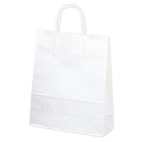 ササガワ 手提げバッグ １０Ｐ白無地 小 50-6100 1包 【10枚袋入】（取寄品）
