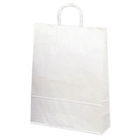 ササガワ 手提げバッグ １０Ｐ白無地 大 50-6300 1包 【10枚袋入】（取寄品）