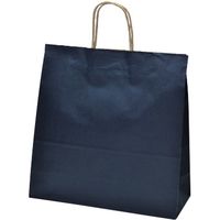 ササガワ 手提げバッグ １０Ｐ 紺 中 50-6602 1包 【10枚袋入】（取寄品）