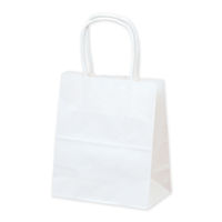 ササガワ 手提げバッグ １０Ｐ白無地 特小 50-6913 1包 【10枚袋入】（取寄品）