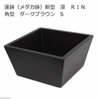 リーフ 睡蓮鉢（メダカ鉢）　新型　凛　ＲＩＮ　角型 2250002309924 1個（直送品）