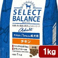 ベッツ・チョイス・ジャパン アダルト チキン小粒 221105 1個（直送品）