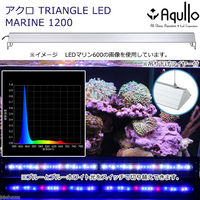 Aqullo ＴＲＩＡＮＧＬＥ　ＬＥＤ　ＭＡＲＩＮＥ　1200 4580295220582 1個（直送品）