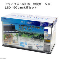 寿工芸 アクアリスト６００Ｓ　観賞魚 4972814014145 １セット（直送品）