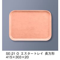 三信化工 エスタートレイ 長方形 SE