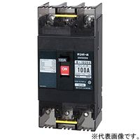 テンパール工業 配線用遮断器 B102EC