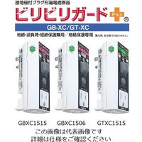 テンパール工業 漏電遮断器:プラグ形 GBーXC 15A 15MA GBXC1515 1台(1個)（直送品）