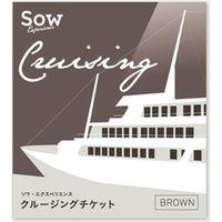 ソウ・エクスペリエンス クルージングチケットBROWN 4571388560715 1個（直送品）