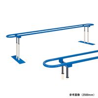 アズワン ラウンド平行棒(TBー1198)3500mm 7-5700-03 1個（直送品）