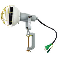 日動工業 エコビックLED投光器 AFL-E5000J 1個（直送品）