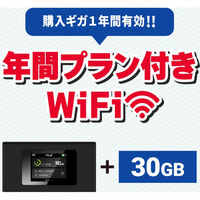 MAYAビジネスソリューションズ  モバイルルーターＭＲ１年間通信プラン付き３０ＧＢ MS4GRA0130（直送品）