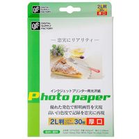 オーム電機 インクジェットプリンター用 光沢紙 2L 30枚 PA-CG2-2L/30 1セット(150枚)（直送品）