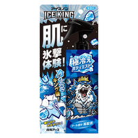 アイスノン ICE KING 極冷えボディミスト 無香料 1個 白元アース 熱中症対策