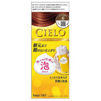 CIELO（シエロ）　ムースカラー　6　ダークブラウン　hoyu（ホーユー）（わけあり品）