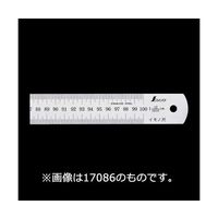 シンワ測定 イモノ尺 シルバー 30cm48伸 cm表示 15666 1個 64-5861-40（直送品）