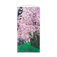 アズワン タペストリー 桜新緑 90×180cm 65-9146-69 1個（直送品）