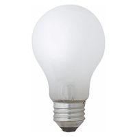 東京メタル工業 白熱電球　ホワイトランプ LW100V90W-TM 1個（直送品）