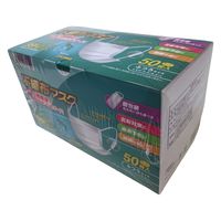 武田コーポレーション 不織布マスクS50Pふつう個包装 FMHSR50P-K 1箱(40個入)（直送品）