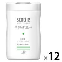 ウェットティッシュ 除菌シート スコッティ ウェットティシュー 除菌ノンアルコール1セット（120枚入×12個）日本製紙クレシア