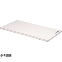 トーエイライト ウレタンマット 120×240×5.5cm T1798 1枚 65-0543-36（直送品）