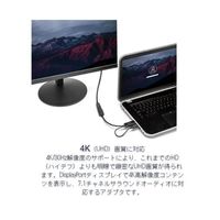 StarTech.com HDMI ー DisplayPort変換ディスプレイアダプタ 4K対応 HD2DP 1個 65-1895-78（直送品）