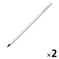 メタルペンシル metacil（メタシル）ホワイト S4541138 2本 サンスター文具 削らない鉛筆 金属鉛筆