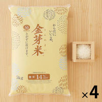 からだにいいこめ、金芽米  20kg（5kg×4袋） 【無洗米】 東洋ライス 米 お米  限定