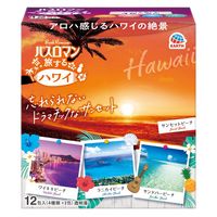 入浴剤 バスロマン 旅するハワイ バスソルト 4種アソート 個包装 1箱（12包入） アース製薬