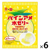 パインアメ 水ゼリー 6袋 共立食品 製菓材 手作りお菓子 ゼリー