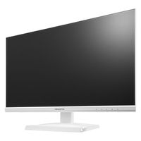 プリンストン 100Hz ADSパネル採用 23.8型ワイドカラー液晶ディスプレイ(1920×1080) PTF-B241W-WH 1台（直送品）