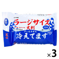 iiもの本舗 大判クールタオルラージサイズ冷えてます12枚 3個 汗拭きシート